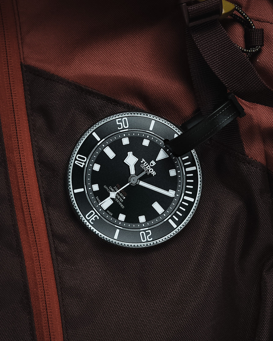 Étiquette de Bagage Tudor Pelagos 39 pour Amateurs de Montres