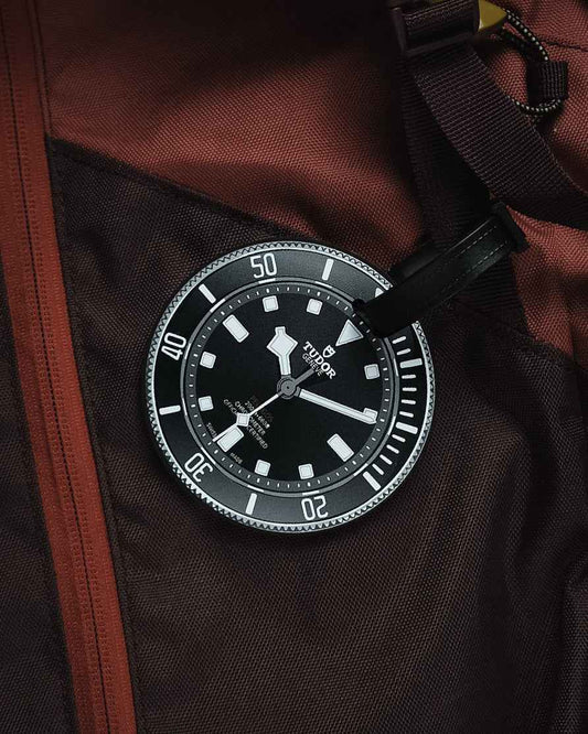 Étiquette de Bagage Tudor Pelagos 39 pour Amateurs de Montres